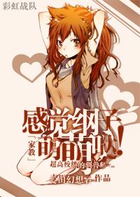 家教之纲吉是个神将