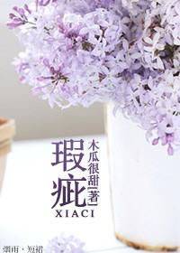 瑕疵反义词