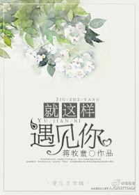 就这样遇见你简介