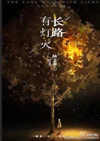 长路有灯火结局是什么