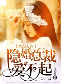 隐婚总裁爱你入骨