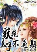 妖娆太子妃