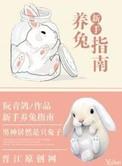 新手养兔子需要注意些什么