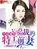 霸道总裁全球通缉少夫人
