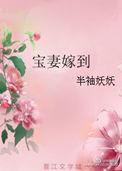 宝妻嫁到作者半袖妖妖