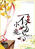 小妾不好当txt