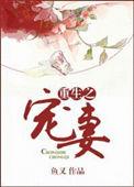 重生宠妻进阶录