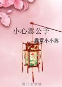 小心恶公子 霹雳小小苏txt
