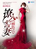 婚色撩人介绍