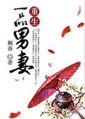 重生一品男妻by枫香