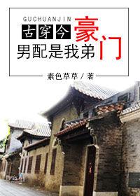 豪门男配是我弟古穿今