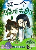 好一个骗婚夫郎宝书网
