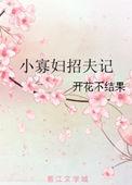 小寡妇招夫记完整版