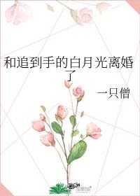 和白月光女主离婚gl