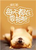 每天都在要抱抱简介