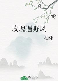 玫瑰遇野风txt百度
