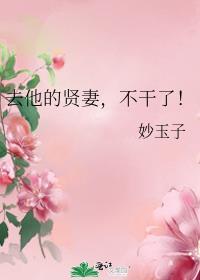 去他的贤妻不干了讲了什么