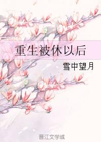 重生被休以后 雪中望月