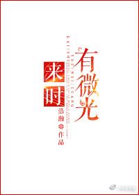 来时有微光大结局