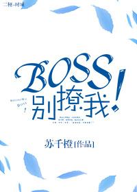 boss别靠近第二集