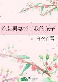 炮灰男妻怀了我的孩子白衣若雪免费阅读