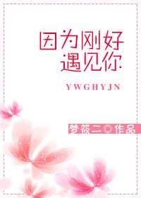 因为刚好遇见你电视剧