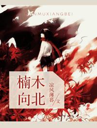 楠木向北陆队和小木头