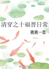 清穿之十福晋