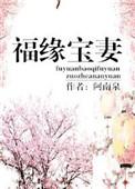 福缘宝妻完整全文无防盗