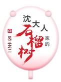 沈大人家的石榴树88章