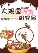 红楼大观园全文