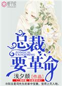 二婚嫁给总裁的