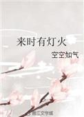 来时有灯火完整版
