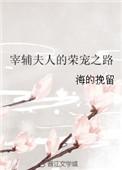 宰辅夫人的荣宠之路txt完整版