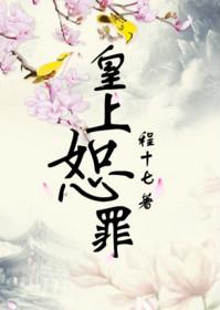 皇上恕罪 程十七