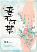 妻不可攀泥石流