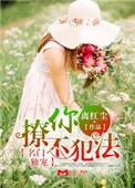 名门宠婚免费阅读
