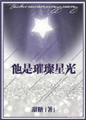 他是璀璨星光 无防盗章