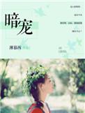 暗宠全文免费