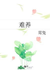 难养的花什么意思