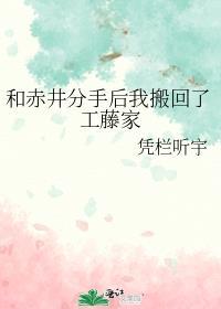 初学者是什么意思