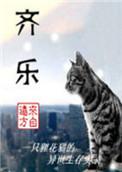 齐乐 来自远方
