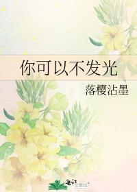 你可以不发光晋江