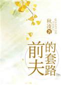 前夫追妻套路深深