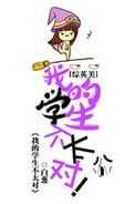 综英美我的学生不太对格格党