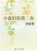 小寡妇第二春段芳草