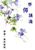 奈何肤浅无防盗