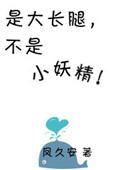 是大长腿不是小妖精凤久安的男女主