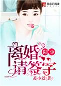 陆少离婚请签字全文阅读