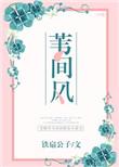 苇间风免费阅读